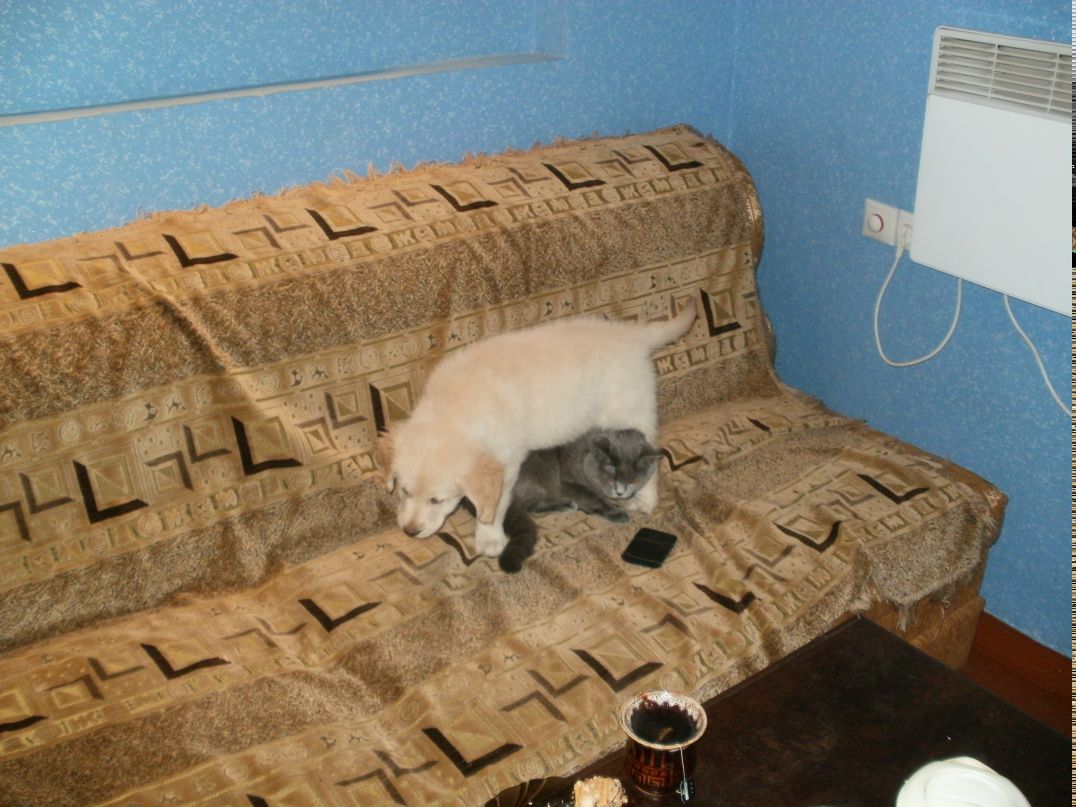 Иван Мозоля фотография #46