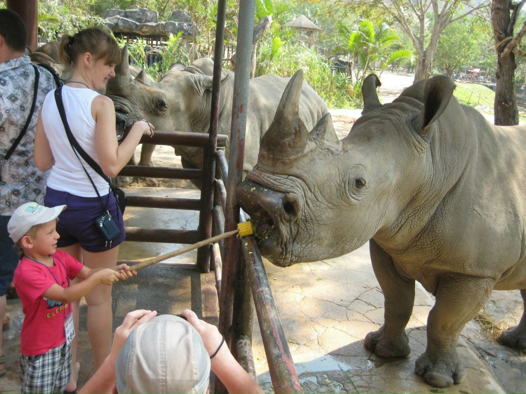 Илья Литаврин фотография #45