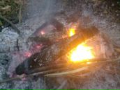 Ярік Фещун фотография #36 (источник - https://vk.com/id65195610)