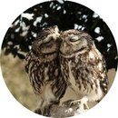 Зайчик Медвежонок фотография #1