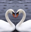 Валерій Пазинич фотография #49 (источник - https://vk.com/id87813874)