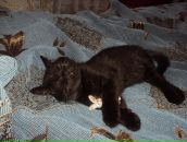 Фотография Зарецкой Кристины