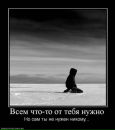 Фотография Владимировны Анастасии
