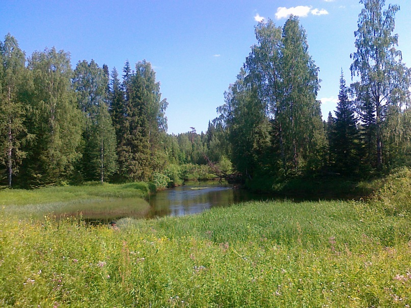 Альберт Егоров фотография #35