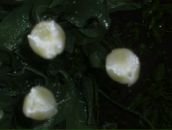 Сергій Дудін фотография #41 (источник - https://vk.com/id60860149)