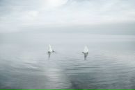 Фотография Psycho Masha