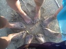 Оля Матійців фотография #23 (источник - https://vk.com/id157438643)