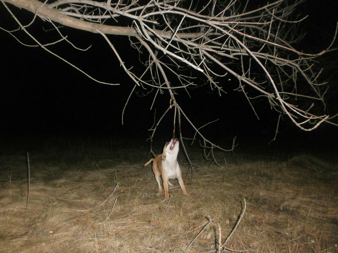 Роман Василенко фотография #50