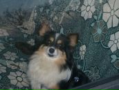 Фотография Людмилы Ms