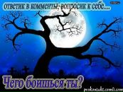 Діана Хіміч фотография #13 (источник - https://vk.com/id57614214)