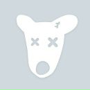 Алекс Григорьев фотография #49 (источник - https://vk.com/id718335)