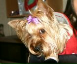 Фотография Grigoreva Lenchik