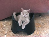 Фотография Владимировны Елены