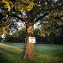 Фотография Смольской Ольги