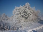 Міша Симонович фотография #25 (источник - https://vk.com/id112931560)