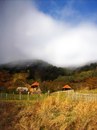Јелена Пердушевић фотография #38 (источник - https://vk.com/id134877804)
