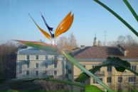 Фотография Бадагеевой Ольги