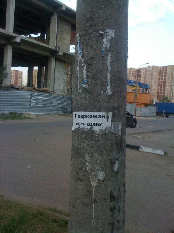 Софья Романова фотография #30