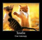 Фотография Волкова Игоря