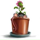 Ростік Радь фотография #34 (источник - https://vk.com/id159567154)