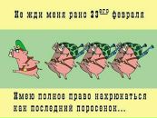 Фотография Дима Минкевич