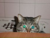 Фотография Баевой Галины