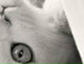 Уляна Гапук фотография #39 (источник - https://vk.com/id6604501)