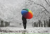 Фотография Кулиев Алексей