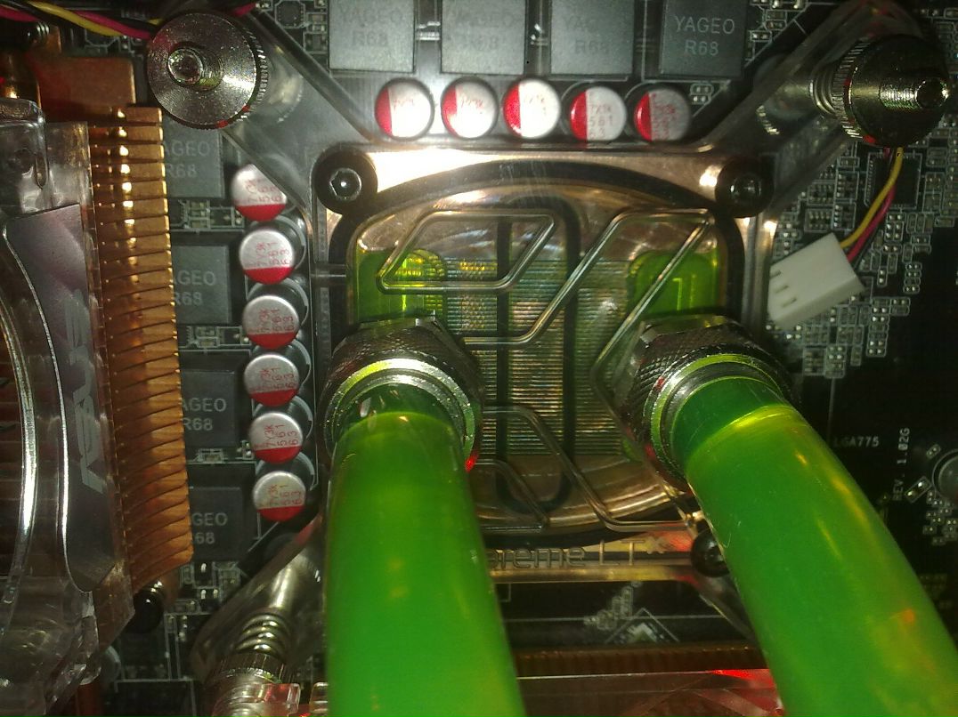 Дмитрий Игнатенко фотография #26