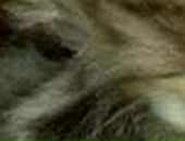 Іванка Кучерява фотография #14 (источник - https://vk.com/id73807324)