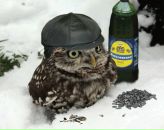 Фотография Малушина Артура