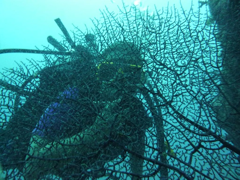 Елизавета Матвеенко фотография #19