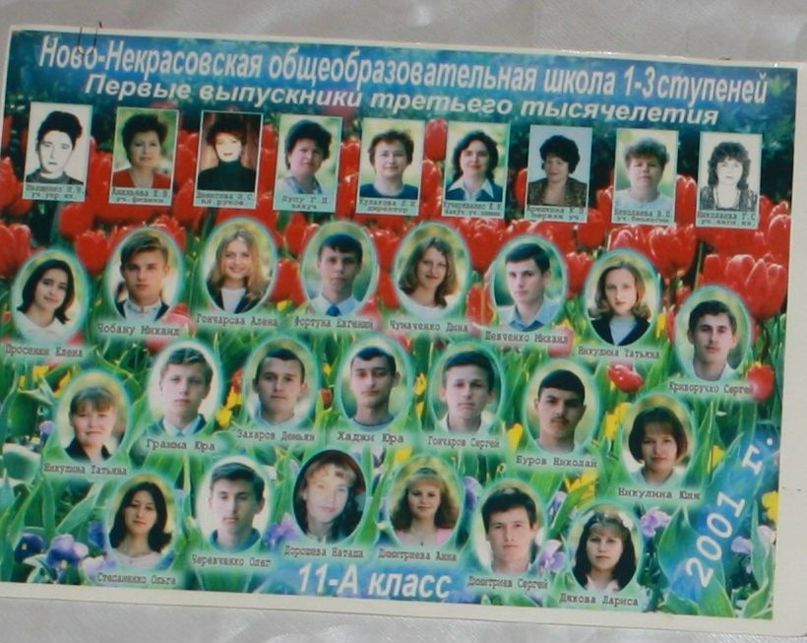 Оля Степаненко фотография #24