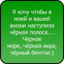 Міша Ковач фотография #36 (источник - https://vk.com/id139434859)