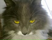 Фотография Валерьевича Дмитрия