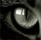 Фотография Босака Андрея