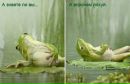 Эдвард Муров фотография #1