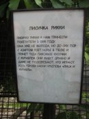 Дмитрий Деев фотография #43 (источник - https://vk.com/id5034761)