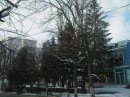 Герман Масливец фотография #28 (источник - https://vk.com/id30653853)