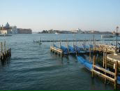 Оля Місінкевич фотография #48 (источник - https://vk.com/id40134605)