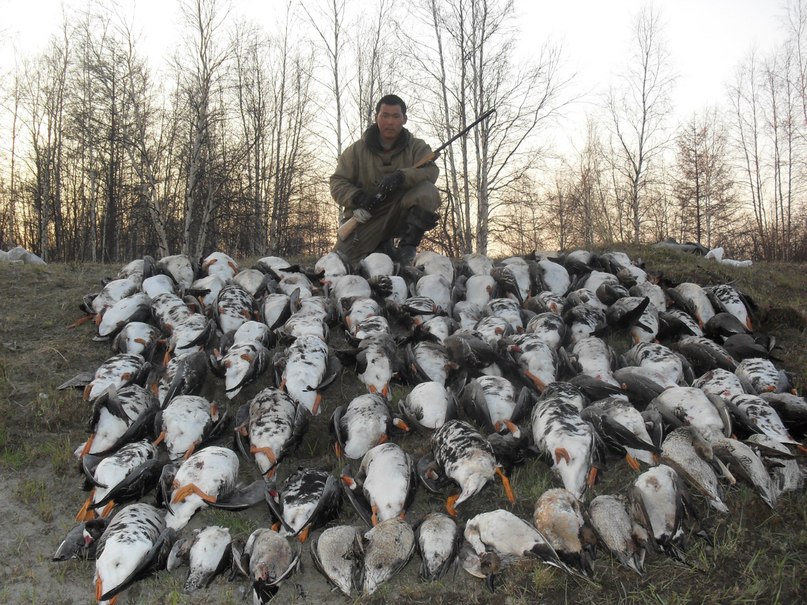 Софрон Сергеев фотография #23