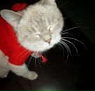 Євген Булах фотография #33 (источник - https://vk.com/id14378950)