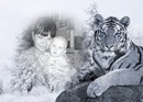 Фотография Корчагиной Анны