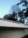 Вітя Мелай фотография #9 (источник - https://vk.com/id160095070)