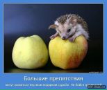 Фотография Стецюк Ирины