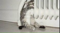 Інна Мудрик фотография #3 (источник - https://vk.com/id52248339)