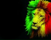 Фотография Черненка Александра