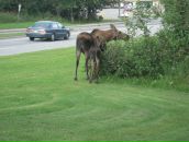 Jackie Chan фотография #50 (источник - https://vk.com/id6684483)