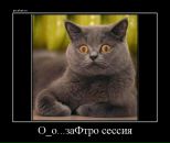 Фотография Шишкиной Натальи