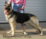 Ярик Сусляк фотография #2 (источник - https://vk.com/id6677792)